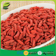 Bayas goji orgánicas usda al por mayor